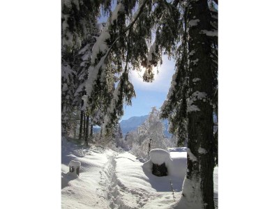 Holiday apartment Am Kurpark - Wohnung 1 60 qm - Environment photo 12