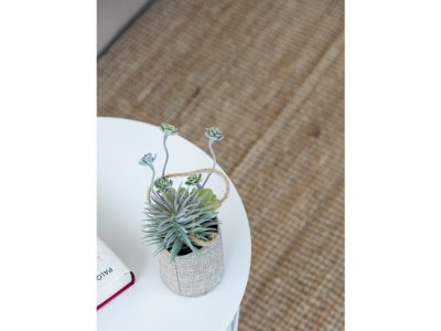 Apartment 25. AG LAS SIRENAS 4 - Features photo 52