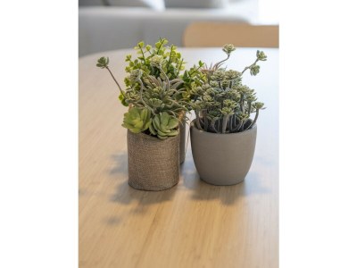 Apartment 25. AG LAS SIRENAS 4 - Features photo 53