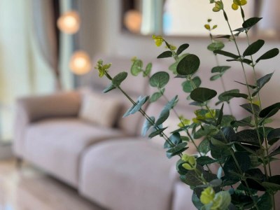 Apartment 45. AG. GONDOLA 8 - Outdoor photo 62