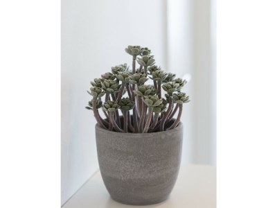 Apartment 51. AG AQUARIUM 10 - Outdoor photo 34