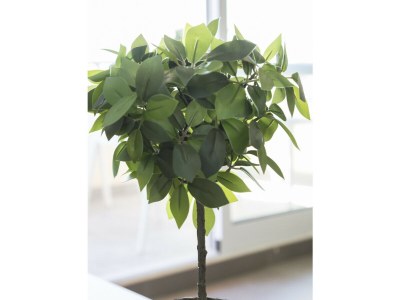 Apartment 51. AG AQUARIUM 10 - Outdoor photo 36