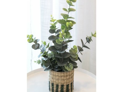 Apartment 51. AG PIRAMIDE 14º - Outdoor photo 47