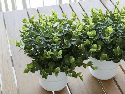 Apartment 51. AG PIRAMIDE 14º - Outdoor photo 49