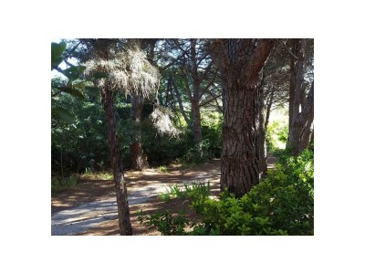 Apartment 51. AG PIRAMIDE 14º - Outdoor photo 55