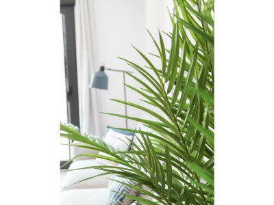 Apartment 56. AG ÁTICO ALAMO 9C - Features photo 25