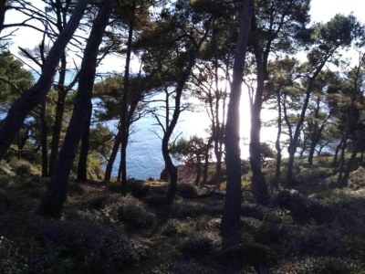 Apartment Wohnung in Pula nahe Gortan Cove Strand - Environment photo 22