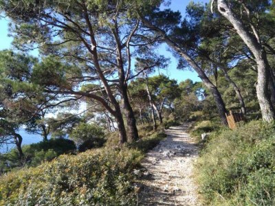 Apartment Wohnung in Pula nahe Gortan Cove Strand - Environment photo 31