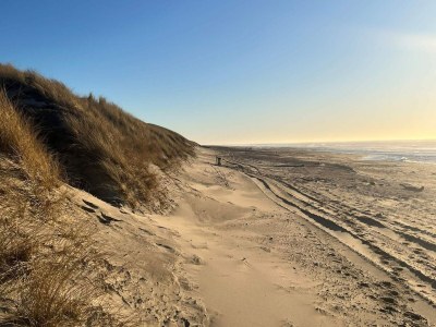 Holiday house 5 Sterne Ferienhaus in Ringkøbing - Outdoor photo 9