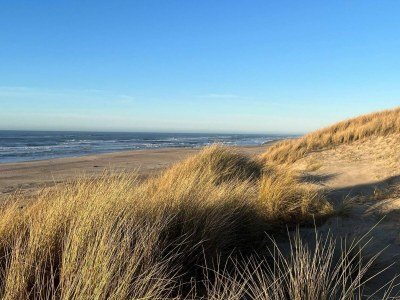Holiday house 5 Sterne Ferienhaus in Ringkøbing - Outdoor photo 10
