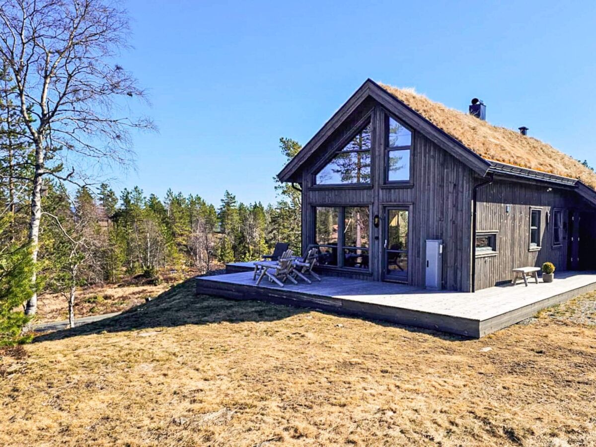 Holiday house 11 person holiday home in Hornnes - Outdoor photo 3