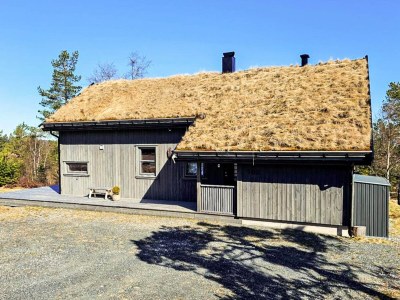 Holiday house 11 person holiday home in Hornnes - Outdoor photo 9