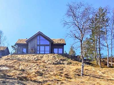 Holiday house 11 person holiday home in Hornnes - Outdoor photo 12