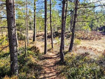 Holiday house 11 person holiday home in Hornnes - Outdoor photo 15