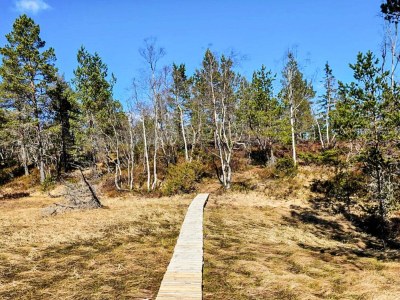 Holiday house 11 person holiday home in Hornnes - Outdoor photo 16