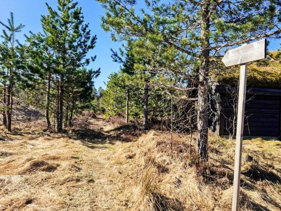 Holiday house 11 person holiday home in Hornnes - Outdoor photo 27