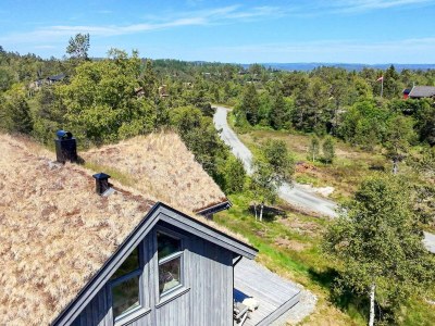 Holiday house 11 person holiday home in Hornnes - Outdoor photo 37