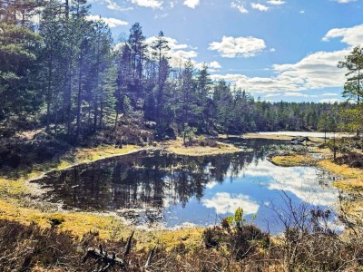 Holiday house 11 person holiday home in Hornnes - Outdoor photo 57