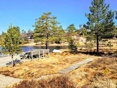 Holiday house 11 person holiday home in Hornnes - Outdoor photo 60