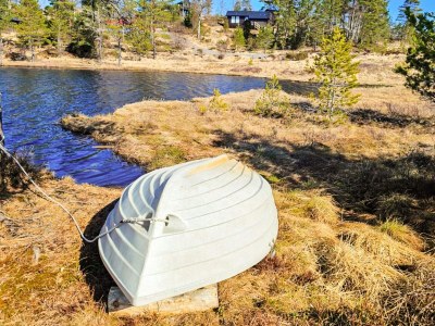 Holiday house 11 person holiday home in Hornnes - Outdoor photo 61