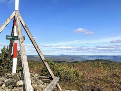 Holiday house 11 person holiday home in Hornnes - Outdoor photo 62