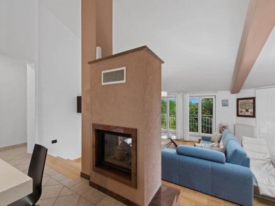 Villa Villa in Vintijan with private pool - Features photo 29