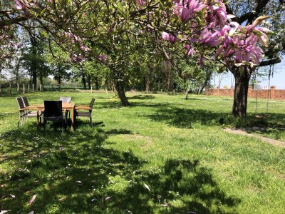 Holiday house 2 at the Ruppin Sea - Features photo 10