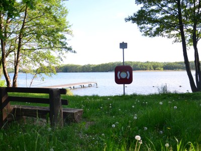 Holiday house 2 at the Ruppin Sea - Environment photo 14
