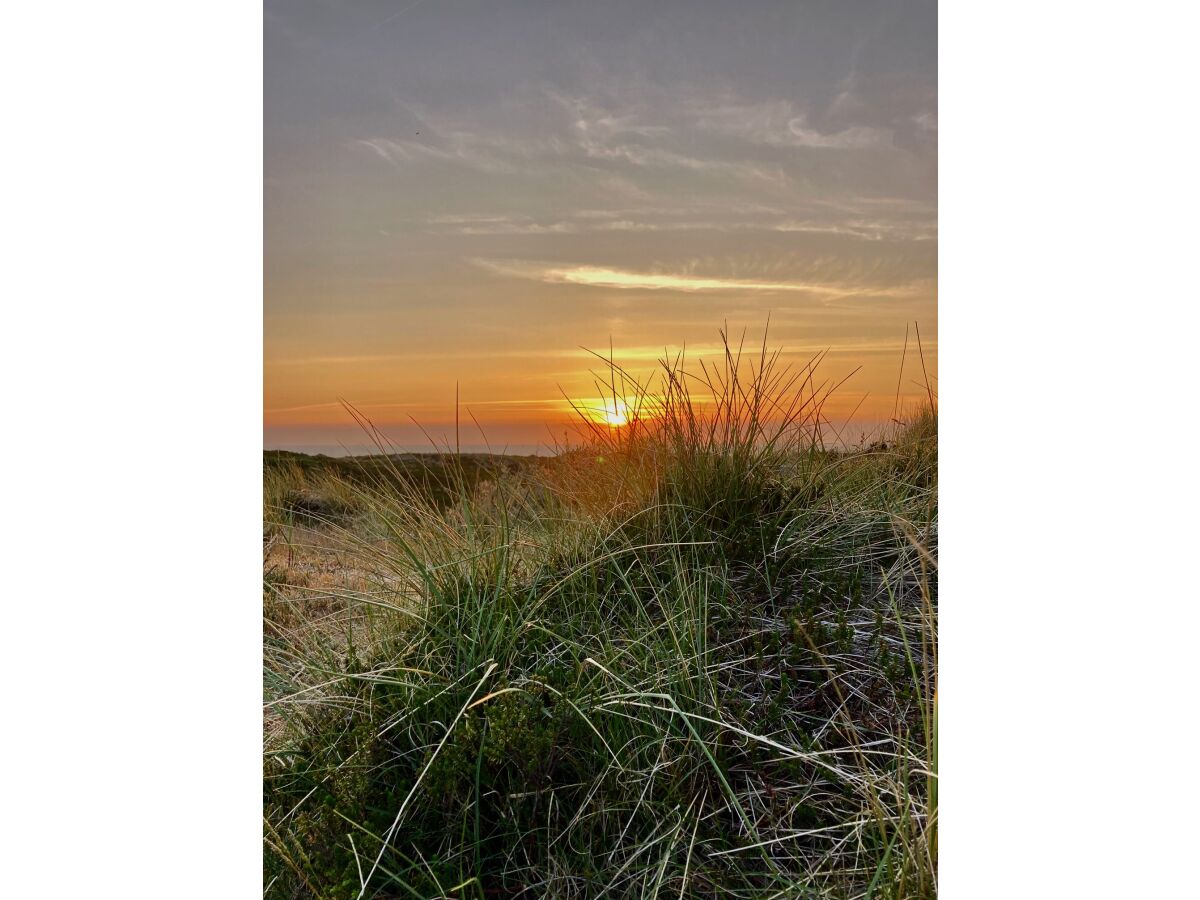 Holiday apartment 50 OG - Raanhof - Outdoor photo 3