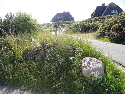 Holiday apartment 50 OG - Raanhof in Sylt / OT Rantum - Holiday apartment