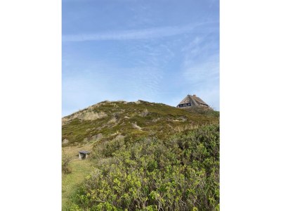 Holiday apartment 50 OG - Raanhof - Outdoor photo 6