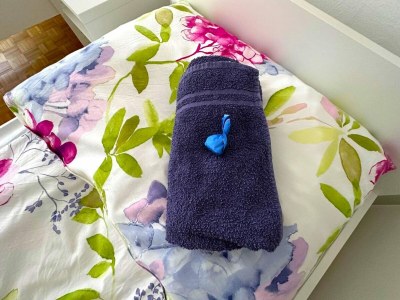 Apartment Apartment near Schönbrunn Palace Vienna - Features photo 11