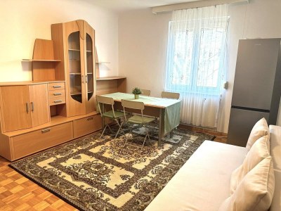 Apartment Apartment near Schönbrunn Palace Vienna - Features photo 19