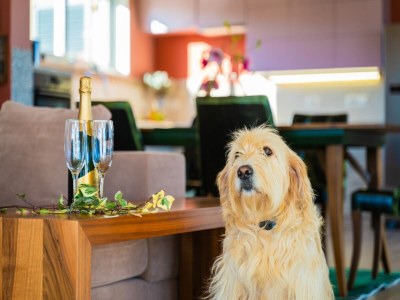 Villa Villa in Filipana with Private Heated Pool - Features photo 30