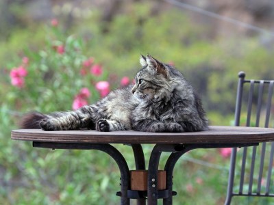 Holiday apartment Lara-Marie - Document photo 23