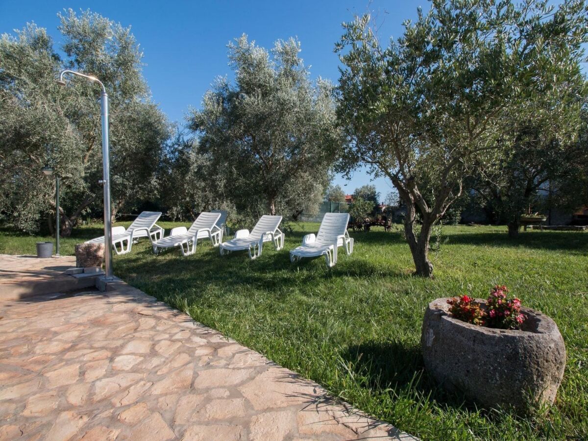 Apartment Apartment in Valbandon near Beach & Pool - Outdoor photo 3