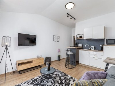 Apartment Apartment in Valbandon near Beach & Pool - Features photo 10