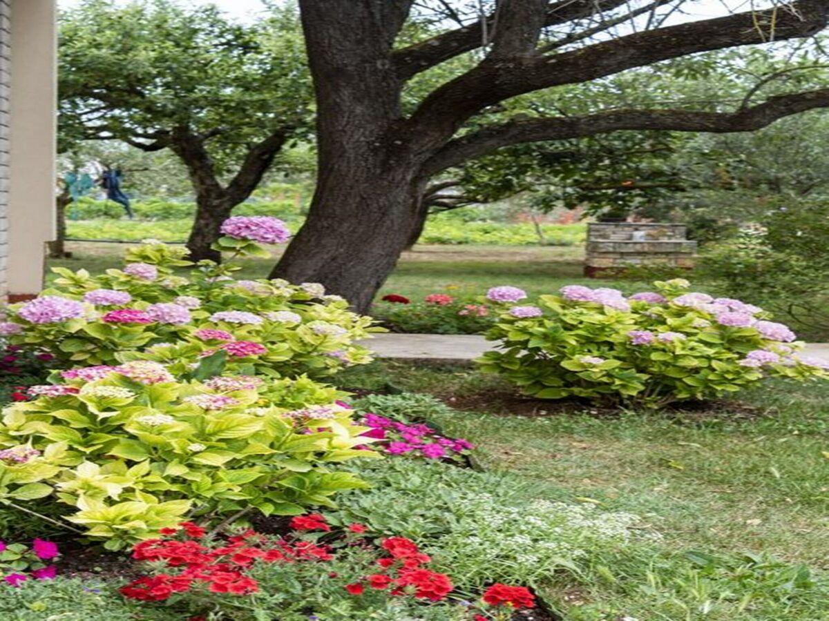 Apartment Wohnung in Fažana am Strand Valbandon - Outdoor photo 2