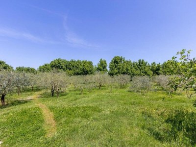 Holiday house House in Fažana near Rock Beach - Environment photo 28