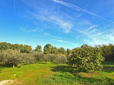 Holiday house House in Fažana near Rock Beach - Environment photo 30