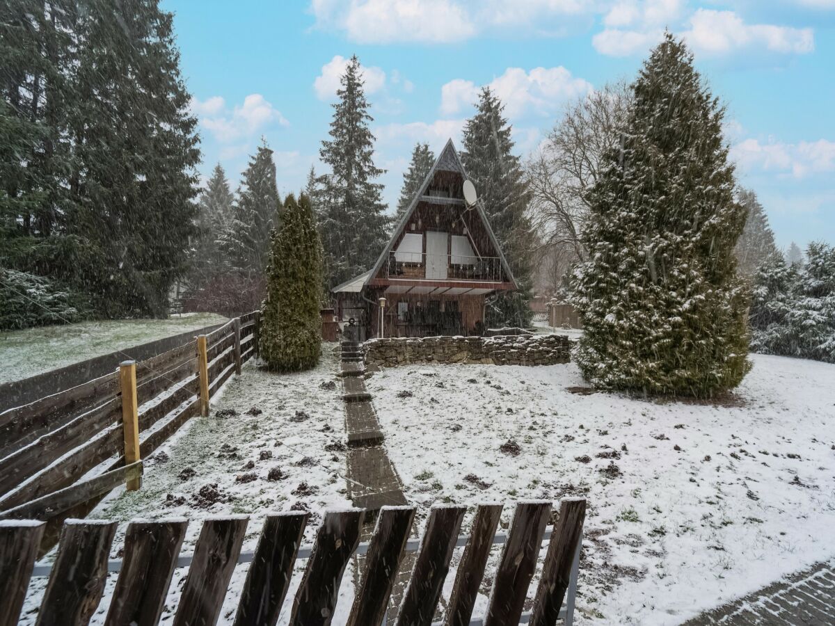 Holiday house Gemütliches Waldversteck in Suhl - Outdoor photo 4