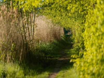 House boat Havel River Houseboat - Environment photo 39
