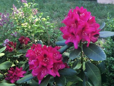 House boat Havel Hausboot Serenity - Environment photo 23