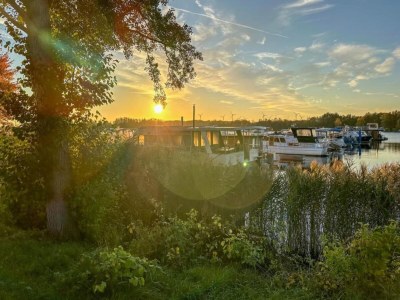 House boat Havel Hausboot Serenity - Environment photo 28