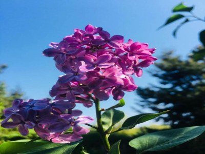 House boat Havel Hausboot Serenity - Environment photo 29