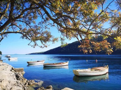 Holiday house Sea-View Holiday Home, Ravni - Environment photo 29