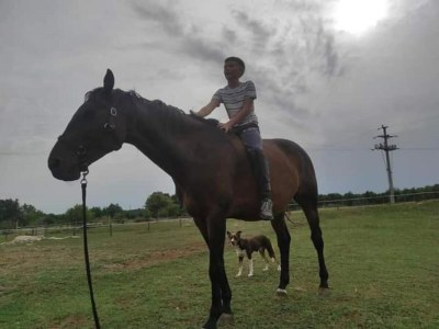 Villa Geräumige ländliche Villa mit Pool - Environment photo 32