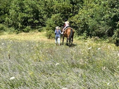 Apartment Wohnung in Labin nahe Rabac Strände - Environment photo 20