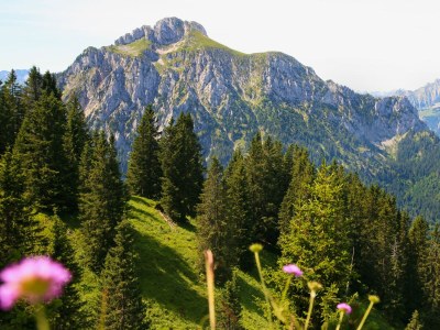 Holiday apartment in the Seehotel Hartung. - Environment photo 33