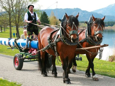 Holiday apartment in the Seehotel Hartung. - Environment photo 34